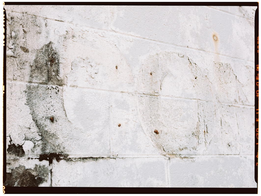 Water Extraction service in West Palm Beach, FL